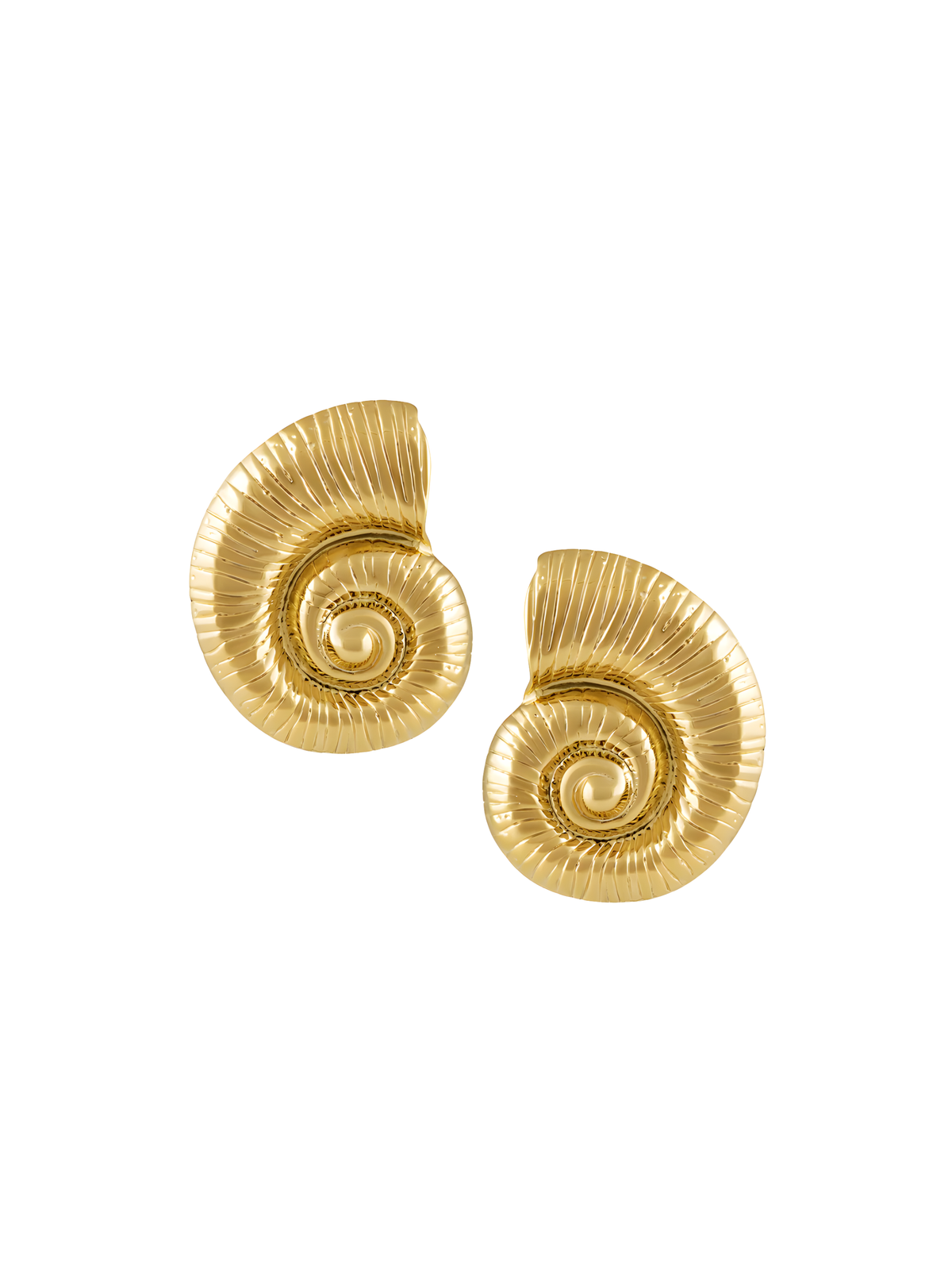 Savannah Seashell Stud Earrings